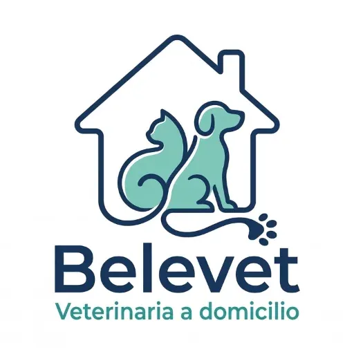 Dra. Belén González, veterinaria UCT, realizando atención domiciliaria en Temuco